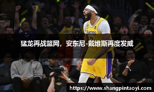 猛龙再战篮网，安东尼-戴维斯再度发威