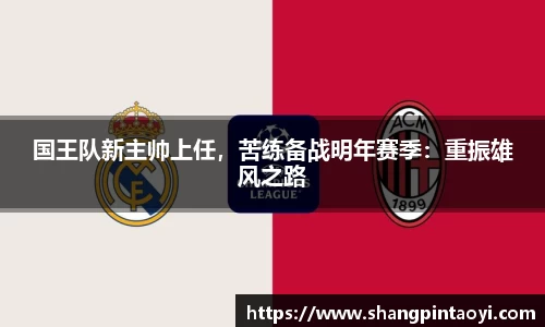 国王队新主帅上任，苦练备战明年赛季：重振雄风之路