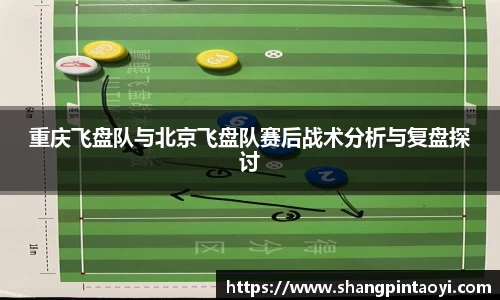 重庆飞盘队与北京飞盘队赛后战术分析与复盘探讨