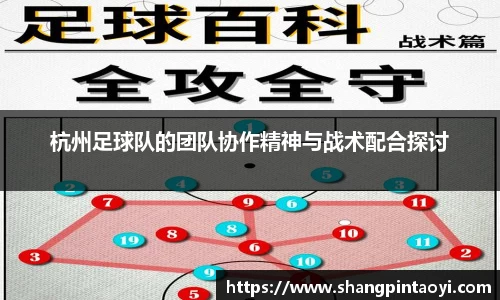 杭州足球队的团队协作精神与战术配合探讨