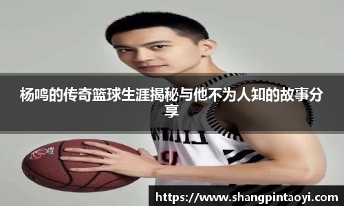 杨鸣的传奇篮球生涯揭秘与他不为人知的故事分享