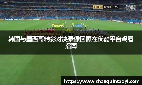 韩国与墨西哥精彩对决录像回顾在优酷平台观看指南